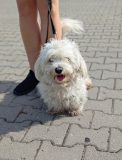 DŻEKI